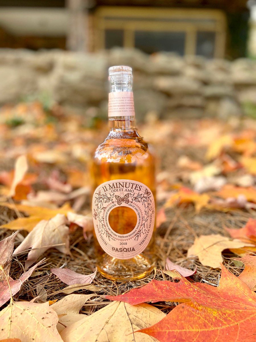 5PointsBottle's tweet photo. If you're looking to go traditional for Thanksgiving, Svetlana recommends Gewürztraminer, Rosé and Gamay. Here are 3 classic picks plus a pretty Rosé for the table.🦃🥧🍁

Save up to 15% on case mix or match this week only.💃 https://t.co/FCLMJ3muPf