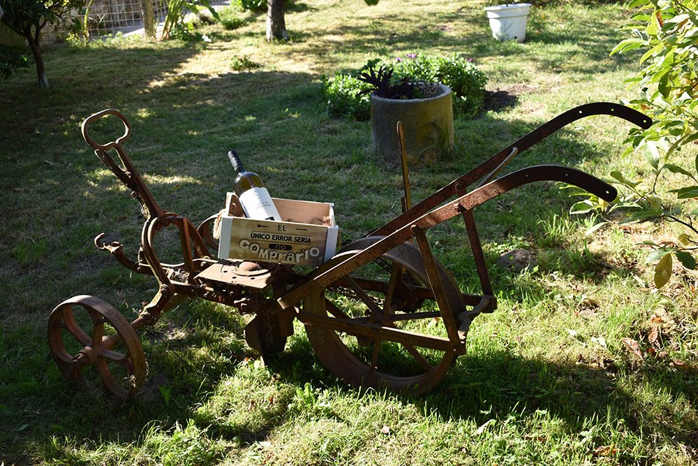 WINES.GAL tweet media