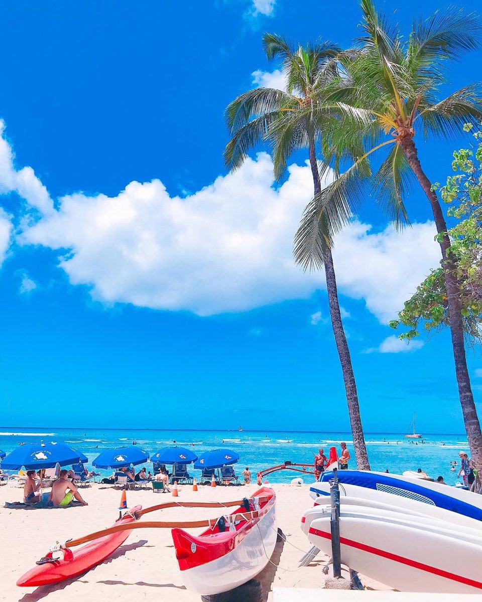 Good Morning! Have an Aloha Day! 🌈🌺🌴🤙🏽 Sea you in the water 🏄♀️🏝🏖 🌊
𓇼 📸 @kaori_official on IG
#diveoahu #surfing #beach #beachlife #genic_beach #lealeahawaii #instahawaii #lovehawaii #love #travelgram #trip #travel #hawaii #waikiki #loco #aloha #mahalo #instagram