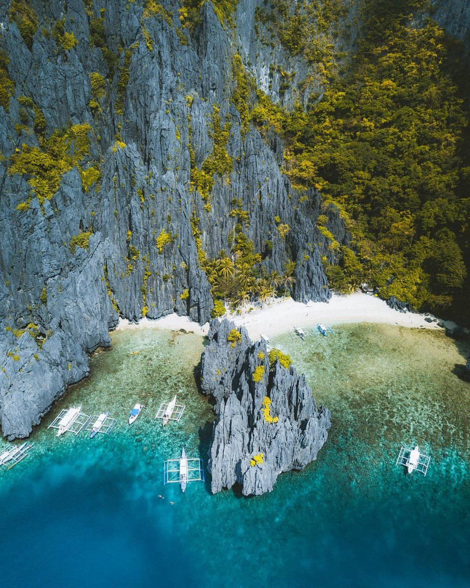 It’s more fun in The Philippines 🇵🇭 Have you been? 🌴😍