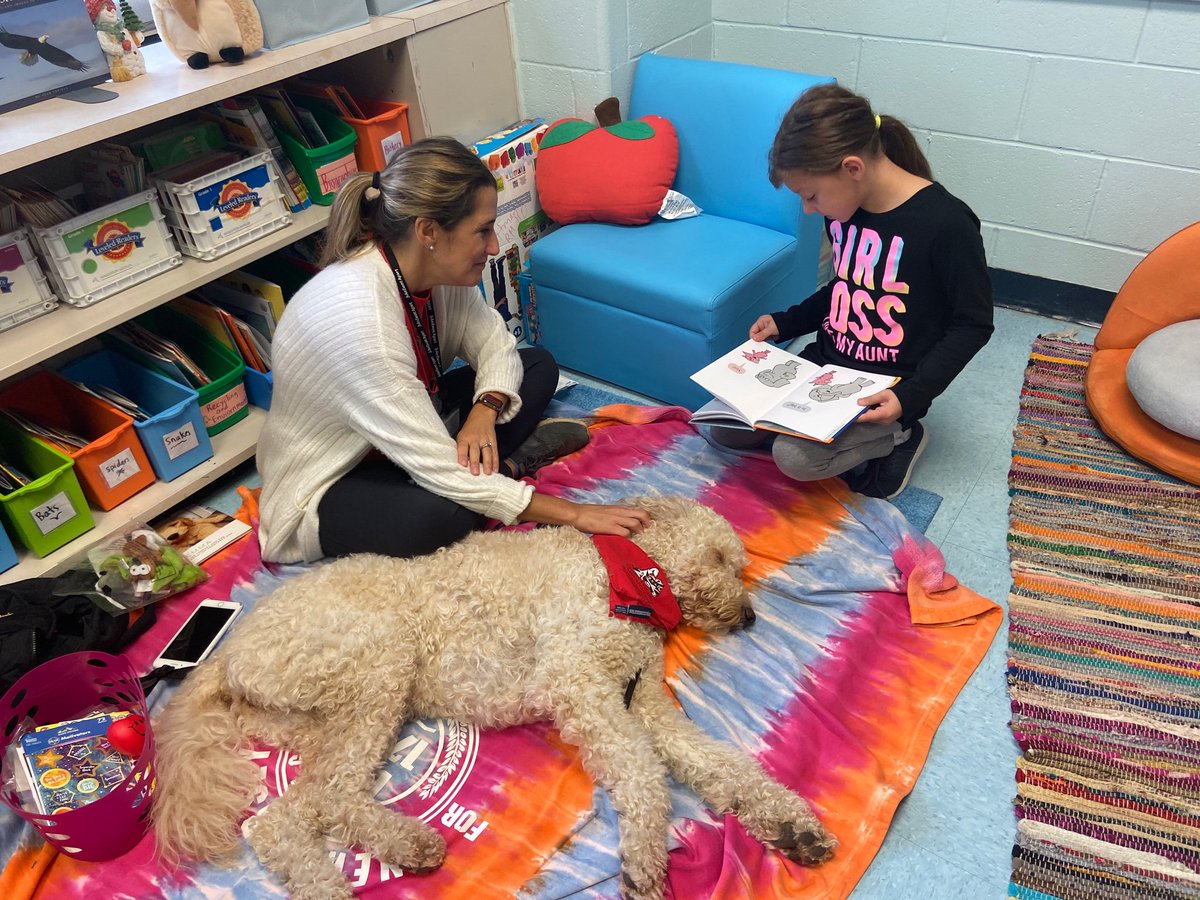 MikeDittman6's tweet photo. My third grade class had a great time reading to Emma the Golden Doodle! https://t.co/wsytFaX6Mg