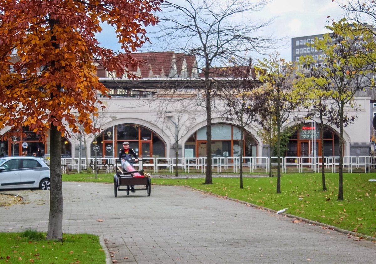 De Tour van '80 tweet media