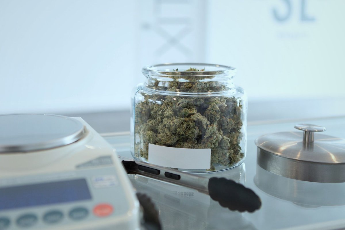 CannabisTrainU's tweet photo. Michigan's Adult-Use Cannabis Sales To Start December 1, 2019. Michigan residents are about to see a lot of tax revenue from recreational #cannabis.
https://t.co/PoGEnwXNUl
#michiganmarijuana #michigancannabis #cannabislaws #marijuanalaws #mmjlaws #recreationalmarijuana https://t.co/I44f7PSjbP