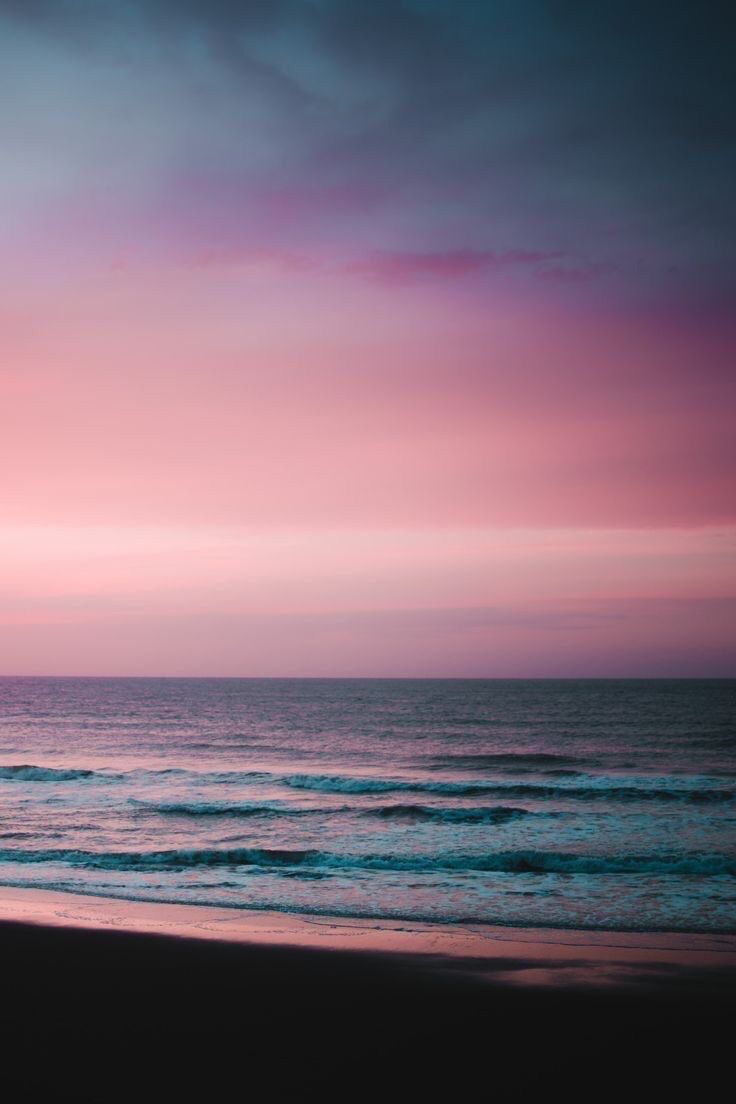 minimalism tweet media