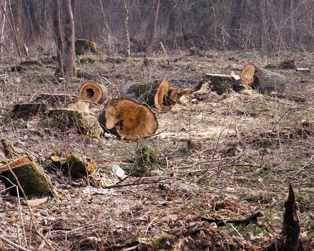 MarsamTree's tweet image. Your #time is #valued when you choose #MarsamTreeService to operate all of your #TreeToppingservices. For more information, check out our #website today! Give Us A Call at # (828) 266-0397 today! #TreeService #TreeContractor #TreeCare #TreeRemoval #Ard ... bit.ly/2TTTHOS