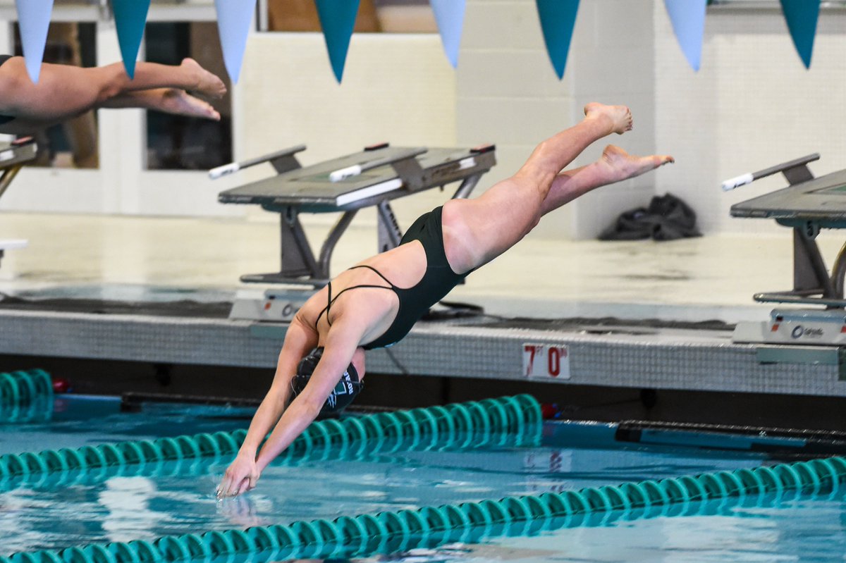 H2ounds's tweet photo. Some πΈ from Saturday's dual victory over Fairfield courtesy of @craigchasephoto! #GoHounds #H2ounds
Full gallery: https://t.co/rZiPEC1Oby https://t.co/BvOX3W2Hv4