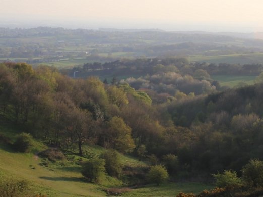 Worcestershire CPRE tweet media