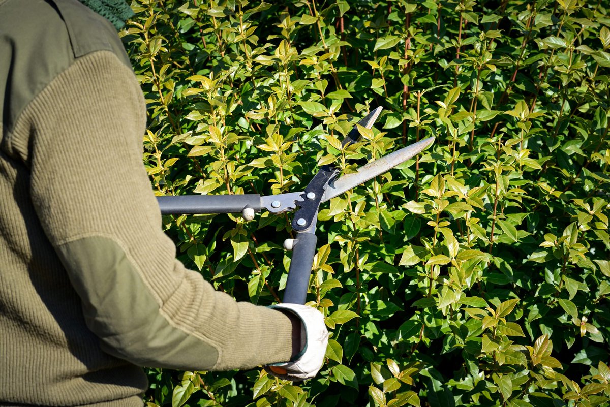 growingamerica.com/news/2019/11/p…
Prepare Your Lawn for the Fall and Winter Months

Check out this article and make sure that your lawn is ready for the Fall and Winter months!

#landscaping