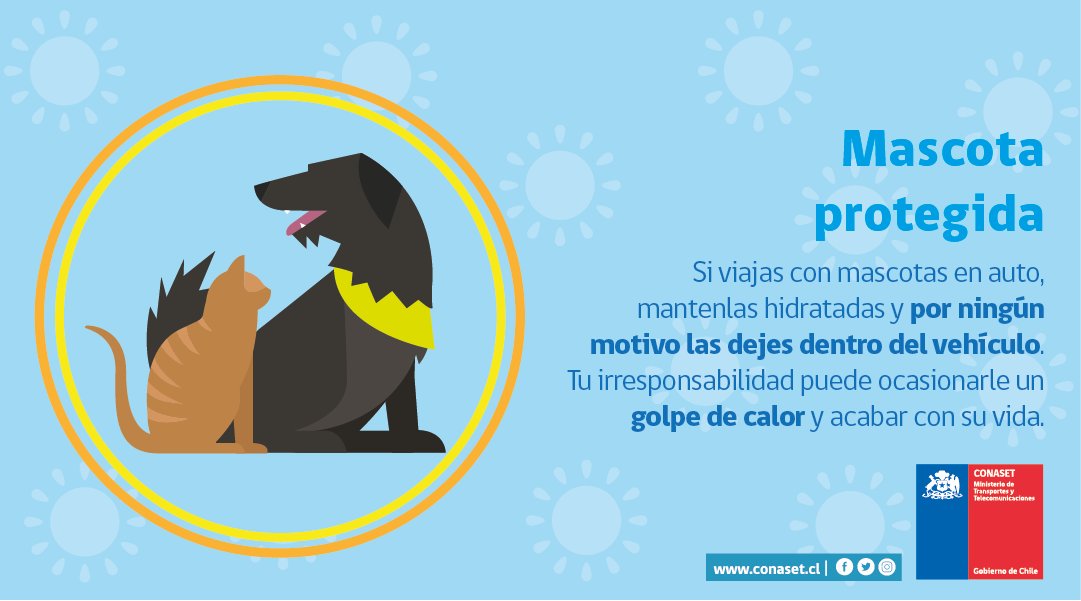 conaset's tweet image. ☀🚘 Ante la ola de calor que afecta a distintas regiones del país, es importante preocuparnos por todos los integrantes de nuestra familia. Si sales en vehículo, por ningún motivo dejes a tus mascotas dentro del automóvil. ¡Cuidemos a nuestras mascotas! #TransitaconSeguridad