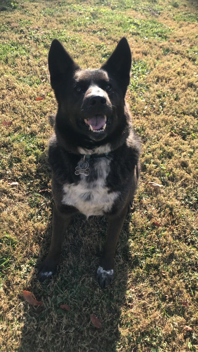 bridget_laney's tweet photo. Sorry I had to leave work early, it’s Berly’s 7th birthday 🥳 https://t.co/sbV5GoIQEy