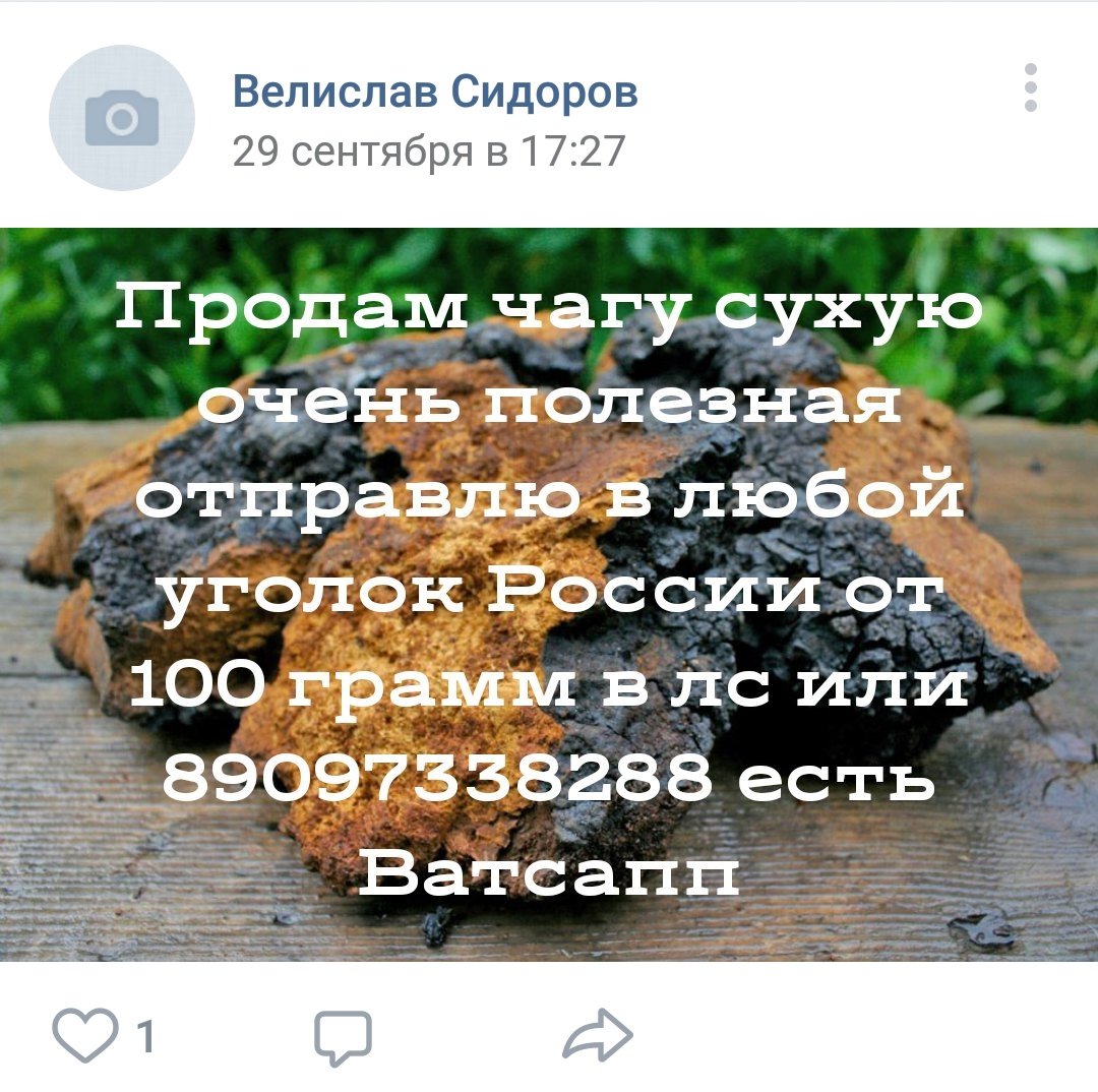 s_____kakdollar's tweet photo. право на существование имеет только одна группа в контакте https://t.co/K34cZ2kjyb