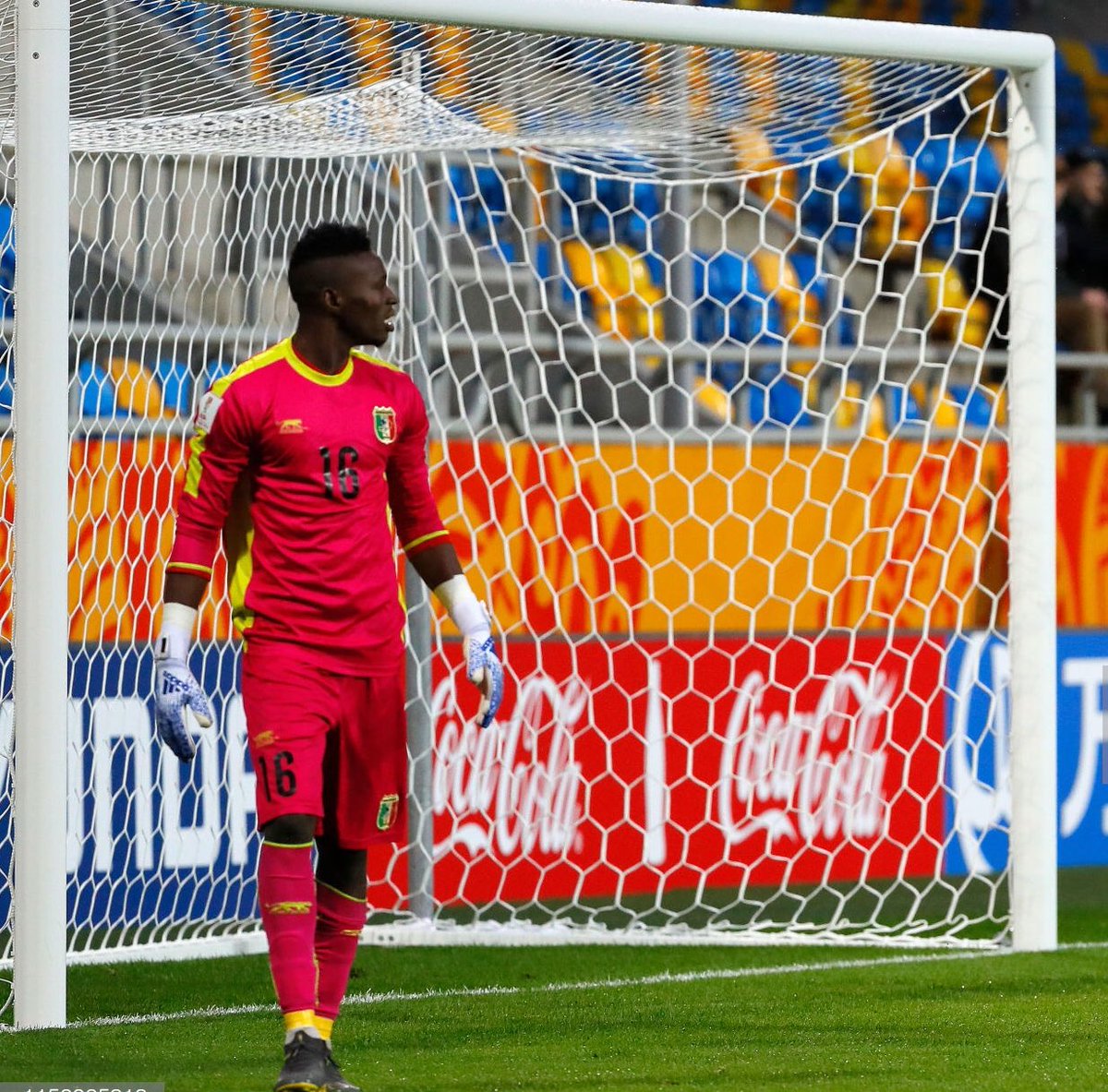 433Mali's tweet photo. 📸| Youssouf Koita https://t.co/wR4Lw8ZX2G