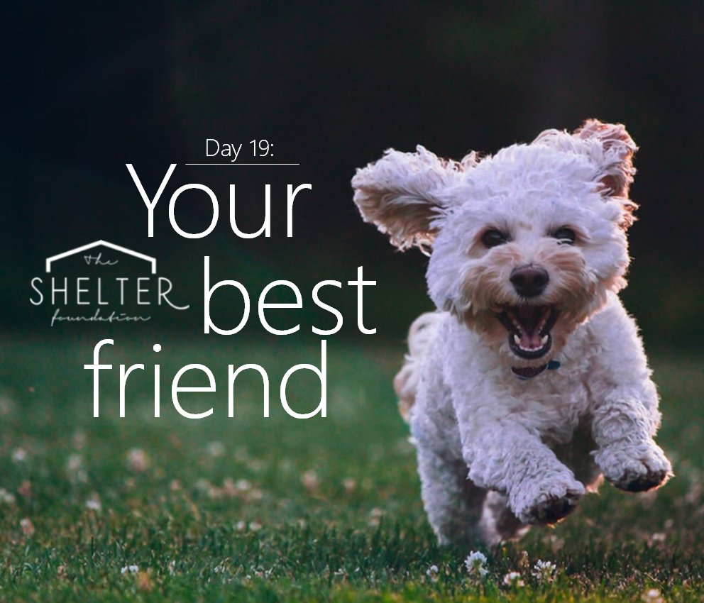 #30DaysOfThankfulness Day 19: We're thankful for our 4-legged, furry friends, both on the job and at home, who are always there for us with a smile, a wag of the tale, and the unconditional love we need after another long day. #Pets #FirstResponders #FurryHeroes #AlwaysThereForUs