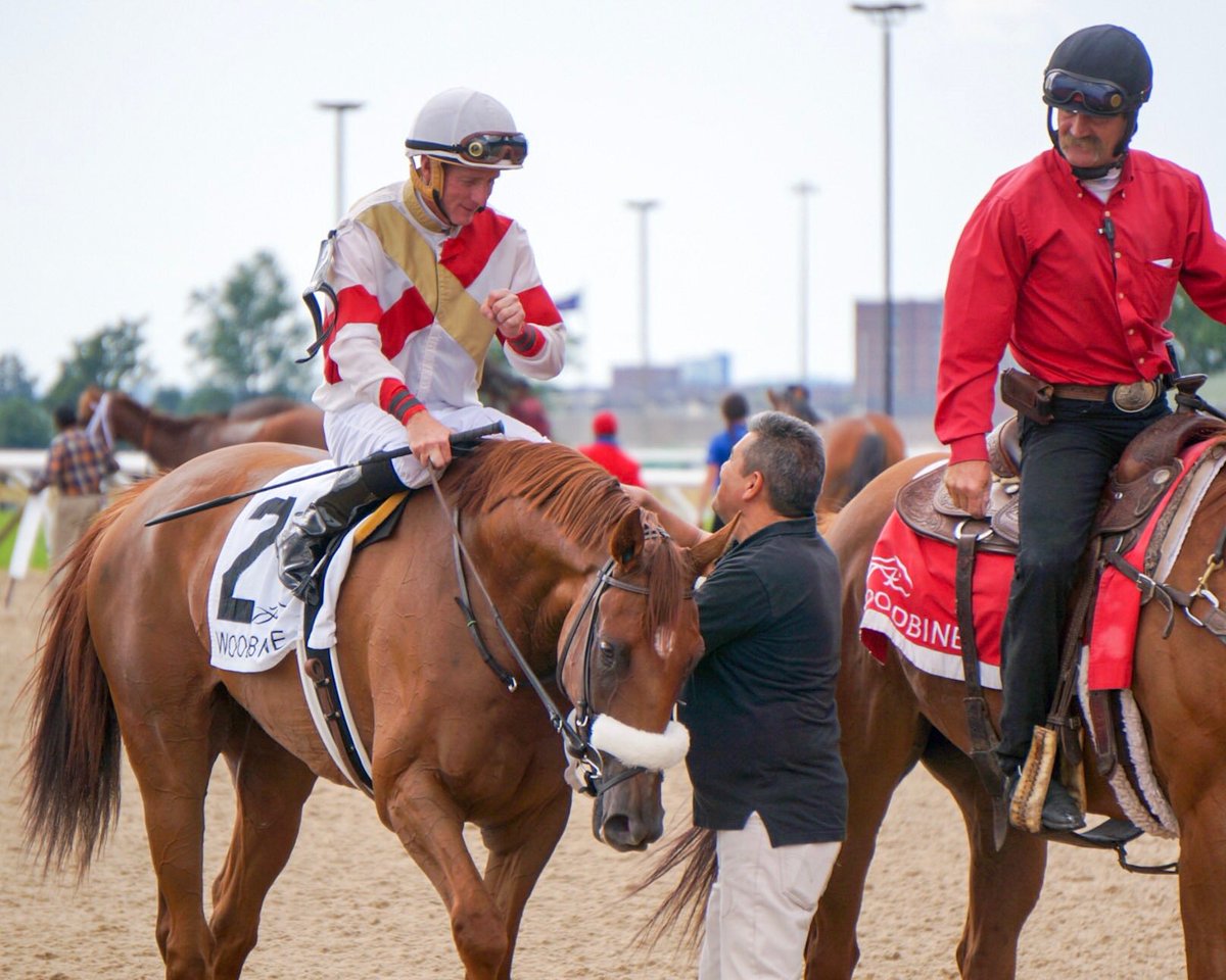 Woodbine Racetrack tweet media