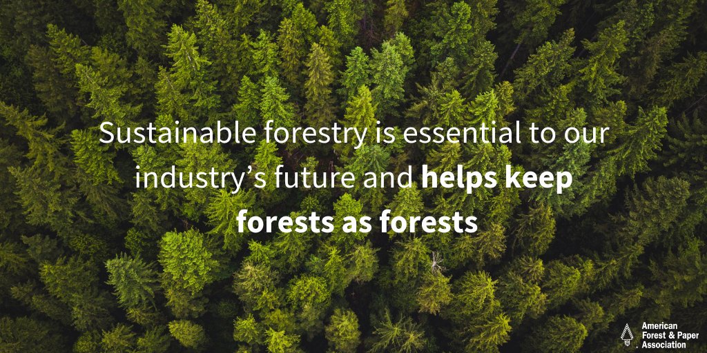 ForestandPaper's tweet image. Approximately 11 million individual landowners provide more than 90% of the fiber needed to support the forest products industry. These landowners have widely adopted sustainable forest management practices #forestproud ow.ly/sBhV50xeQoq