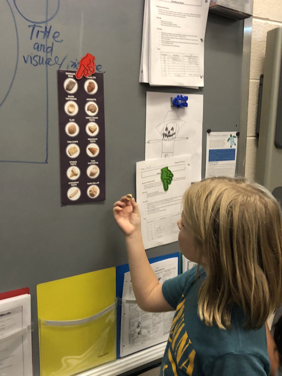 MrsMallon5's tweet image. #diggingforfossils #sciencerocks @GlenkirkES @JenTracy101