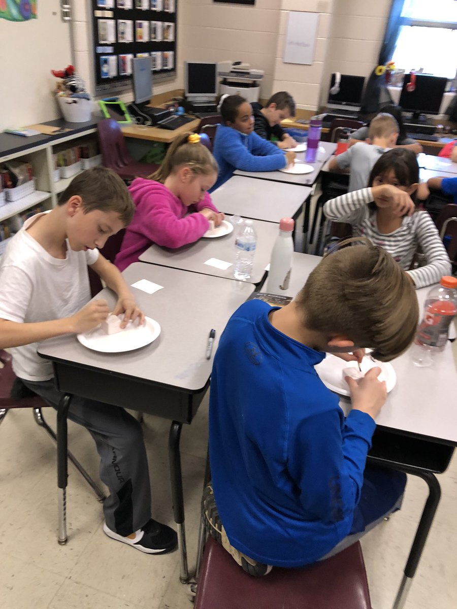 MrsMallon5's tweet image. #diggingforfossils #sciencerocks @GlenkirkES @JenTracy101