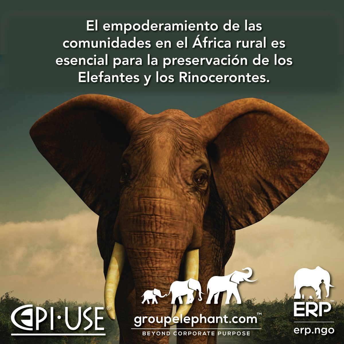 EPIUSEArgentina's tweet photo. Elephants, Rhinos &amp; People (ERP) se fundó para preservar y proteger a los elefantes y rinocerontes salvajes del sur de África a través de una estrategia basada en el alivio de la pobreza rural.

Enterate de ERP en: https://t.co/FhMLf3i5Zl

#EPIUSE #SAP #TodosSomosEPIUSE https://t.co/hYUnqNScSZ