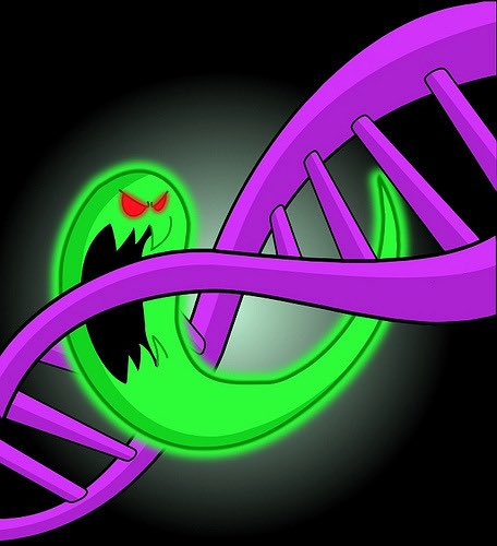 realhartman's tweet photo. 🎶 I just took a DNA test
Turns out
I'm 50%
A Phantom 🎶 https://t.co/u4wJKE03nm