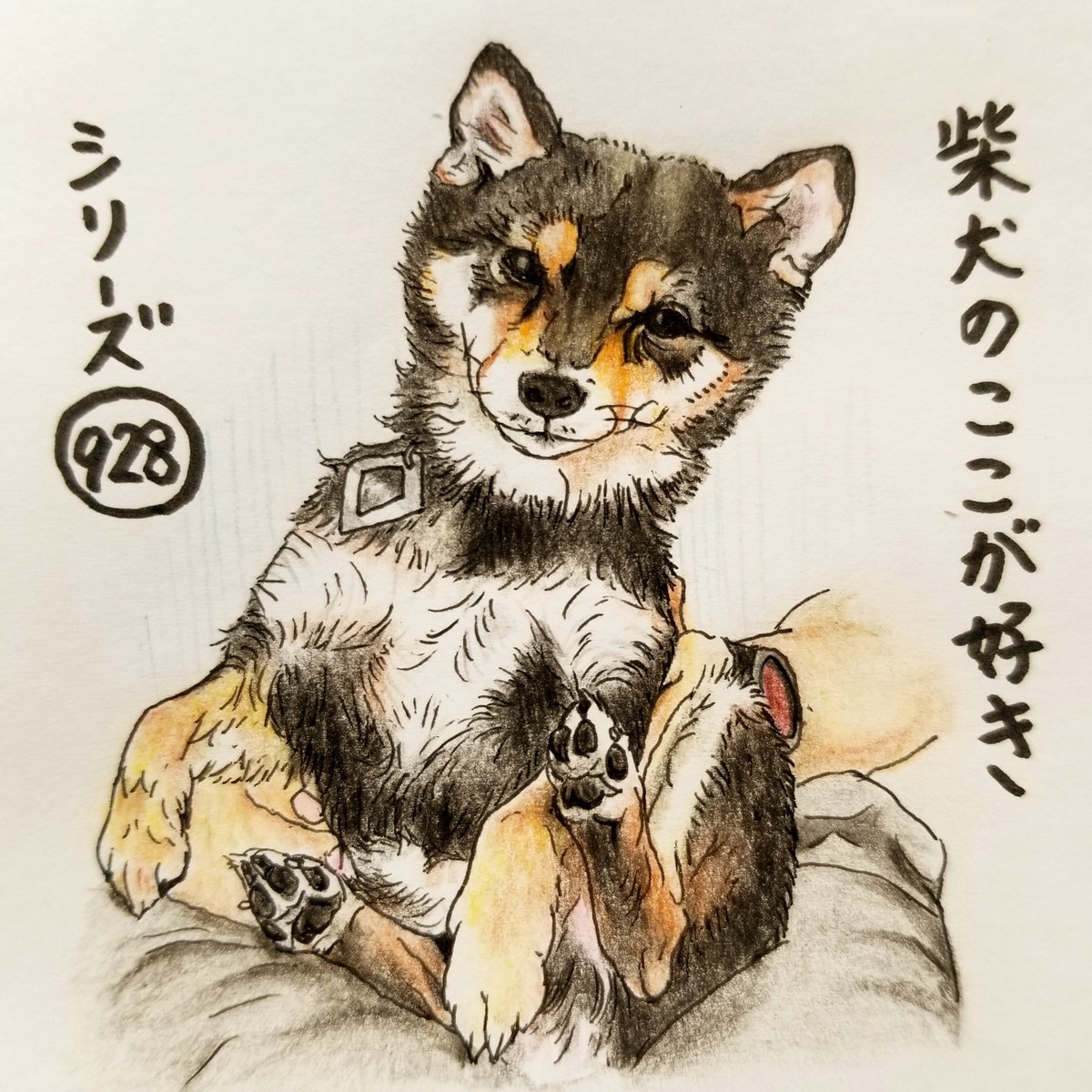 柴犬イラスト Hashtag On Twitter