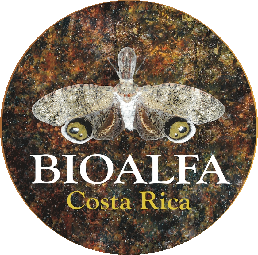 A country #DNAbarcoding its #biodiversity top-to-bottom and side-to-side buff.ly/37nlhLM #bioliteracy #BioAlfabetización #BioAlfa #CostaRica <a href="/ACGuanacaste/">ACG</a> <a href="/PresidenciaCR/">Presidencia de la República 🇨🇷</a>