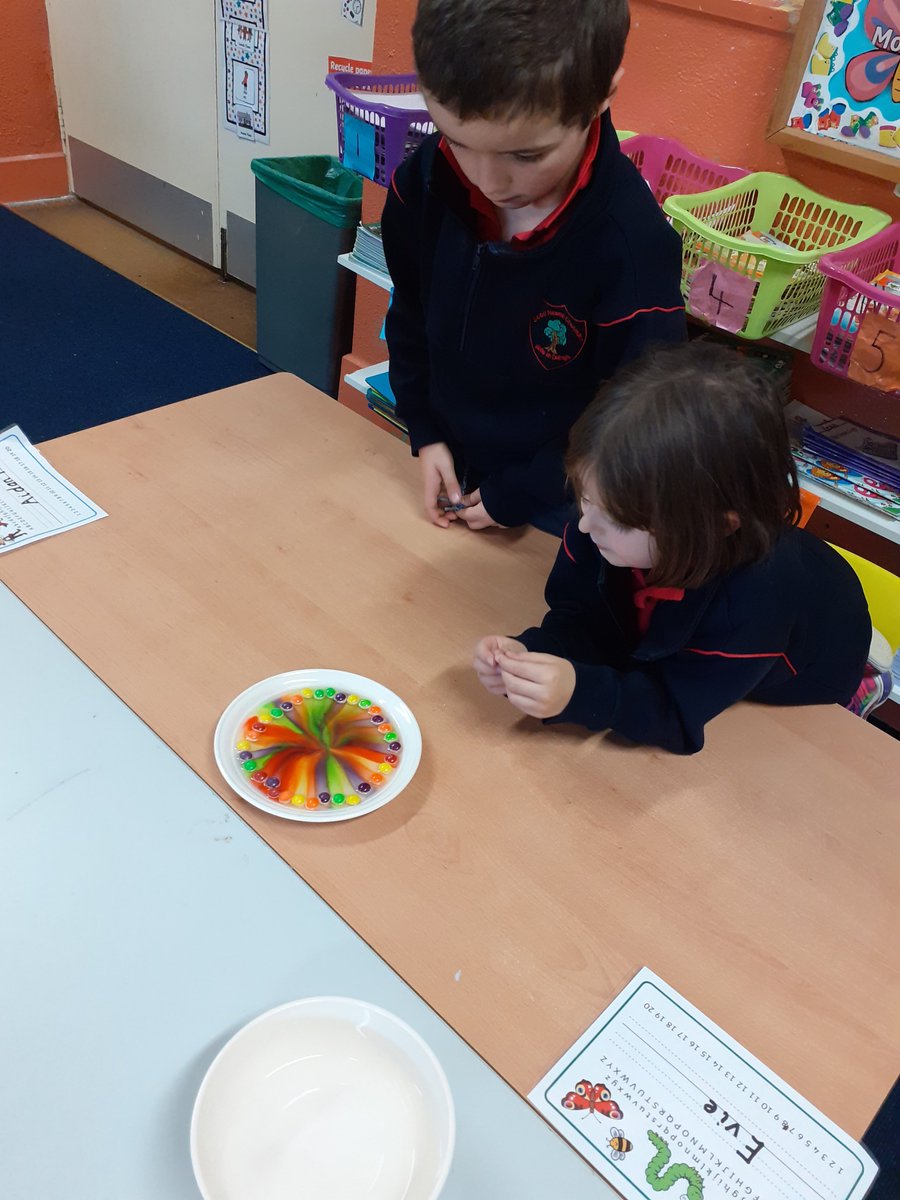 StColmans_NS's tweet photo. More Science in Senior Infants - We are learning about the weather so we used skittles and hot water to make some magical rainbows. Just look at some of our different rainbows! #scienceweek2019 https://t.co/tt3VUfheYJ