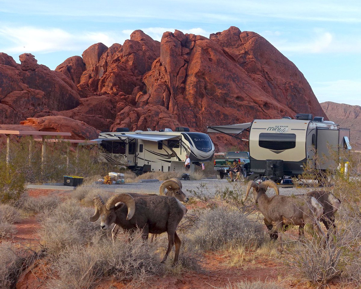 Campendium's tweet photo. Look who we spotted while scouting Valley of Fire State Park this week!
https://t.co/exMISOhYGl
#campendium #bighornsheep #wildsheep #sheepstagram #sheeplife #valleyoffire #valleyoffirestatepark #naturalnevada #americanroadtrip #nevadastateparks #explorenevada https://t.co/BVAhLmBV52