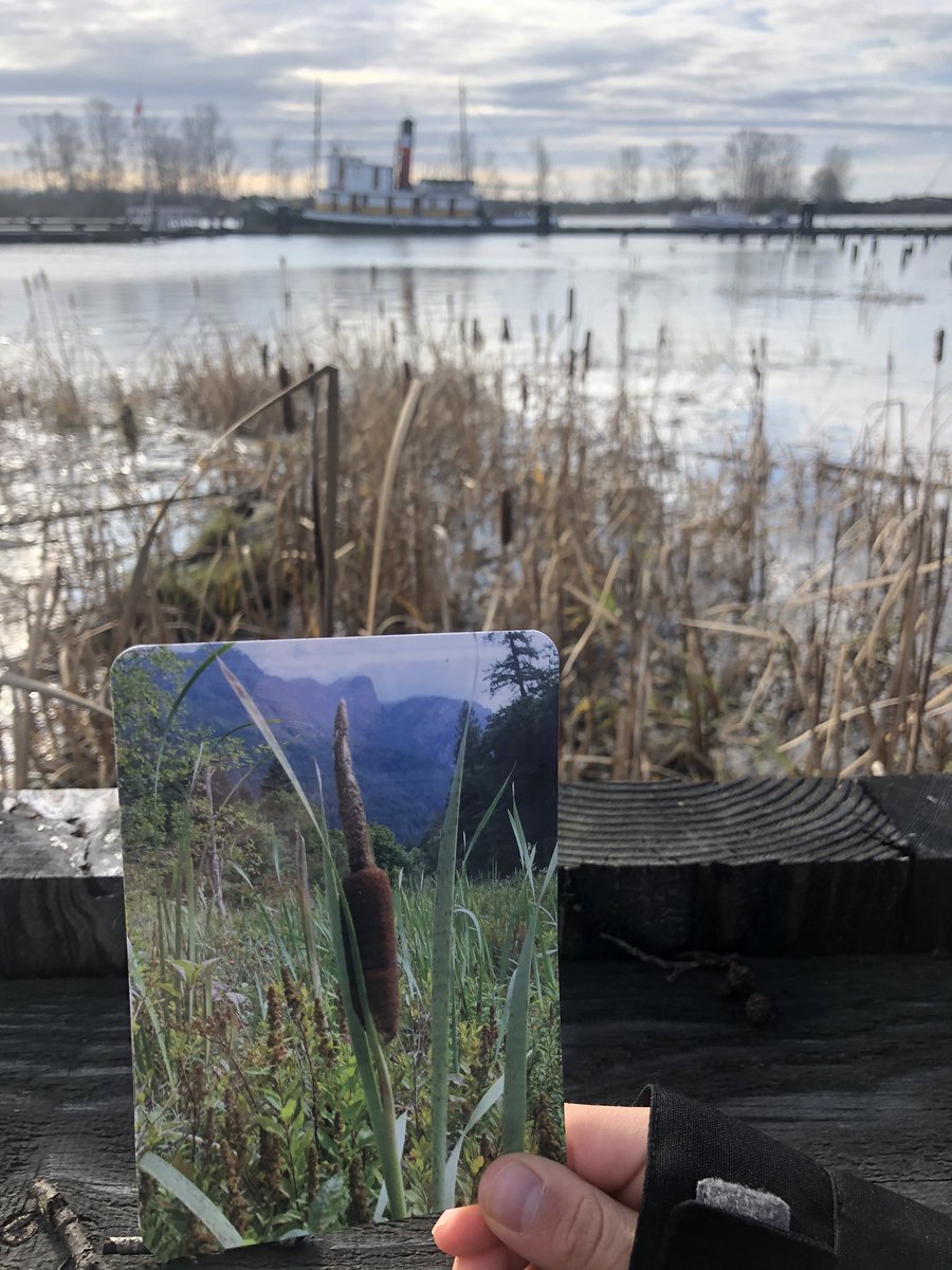 Dr. Megan Zeni tweet media