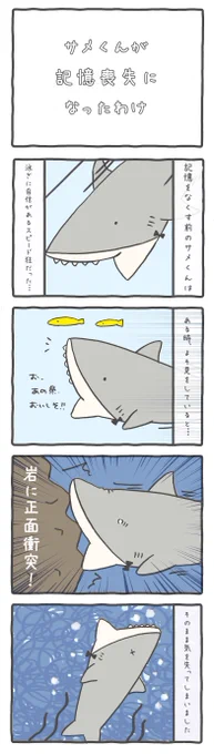 【サメ君の過去に何が・・・】

サメが記憶喪失になった訳

#ルーミーズパーティー #4コマ #4コマ漫画 #サメの過去 