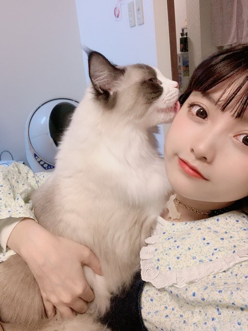 コスプレイヤー橘子のTwitter画像76