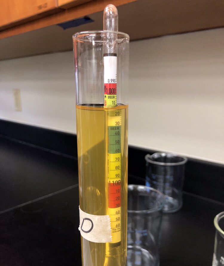 Vanessa33313us's tweet photo. #BCcellchemlab #cellchem #Showmetheprotien #supersugar #fatsarefun https://t.co/OGmNKWFSj0
