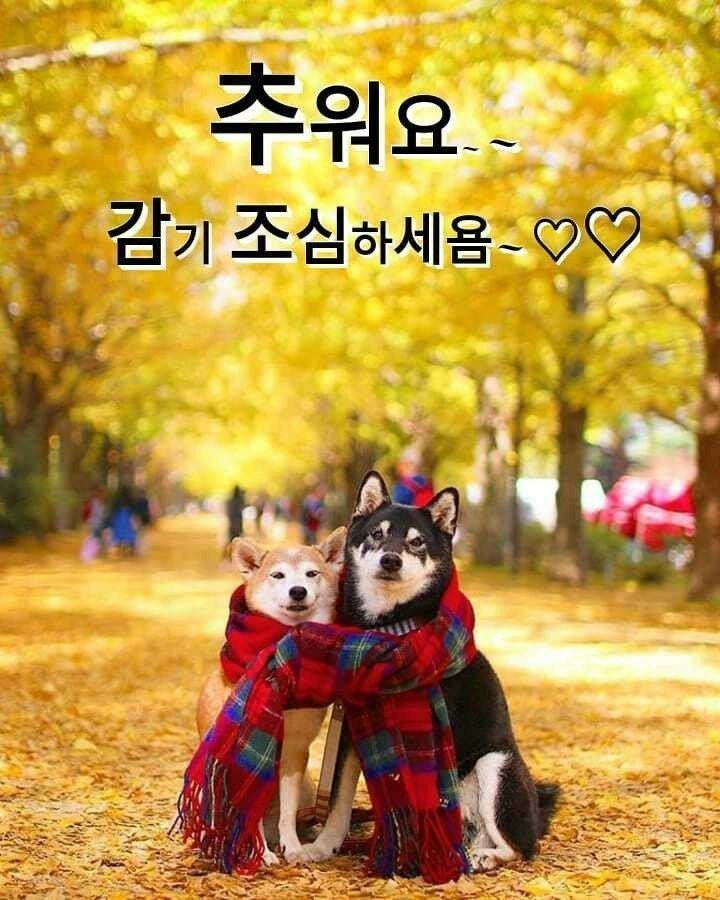 평택에 대거 몰린다

#평택항 #토지상담합니다
7225.0319
ytn.co.kr/_ln/0115_20191…