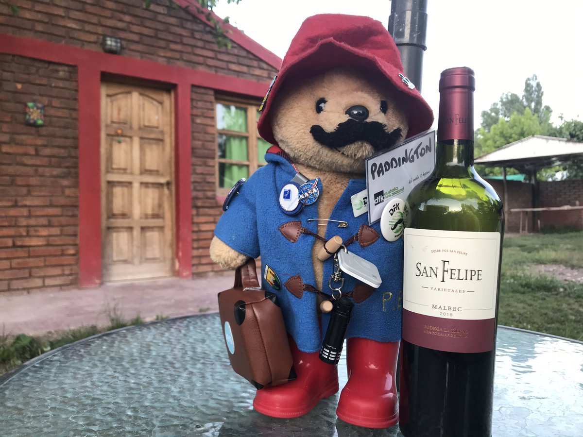 Even the Malbec is raising awareness of men’s health with <a href="/MovemberCA/">Movember Canada</a> and <a href="/DFK_Intl/">DFK International</a> #mascot #paddington