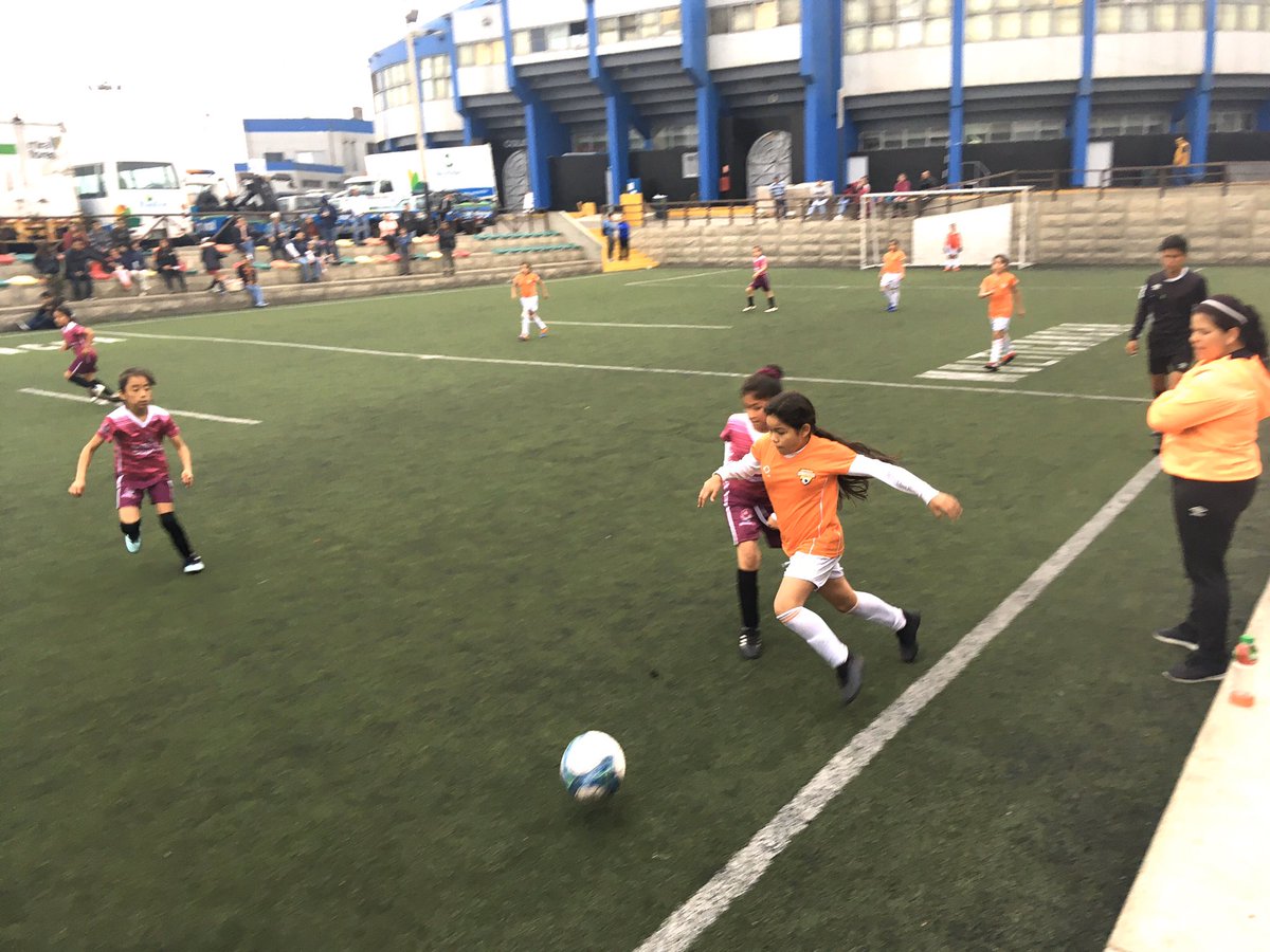 clublacantera's tweet photo. Postales de nuestras CAMPEONAS 🏆🥇

“Copa Miraflores” - Liga de Niñas LF7 Categoría Sub10 👧🏻

#FutbolFemenino 
#SomosCantera
@MuniMiraflores 
@LigasF7 https://t.co/q4wzlDb4ZD