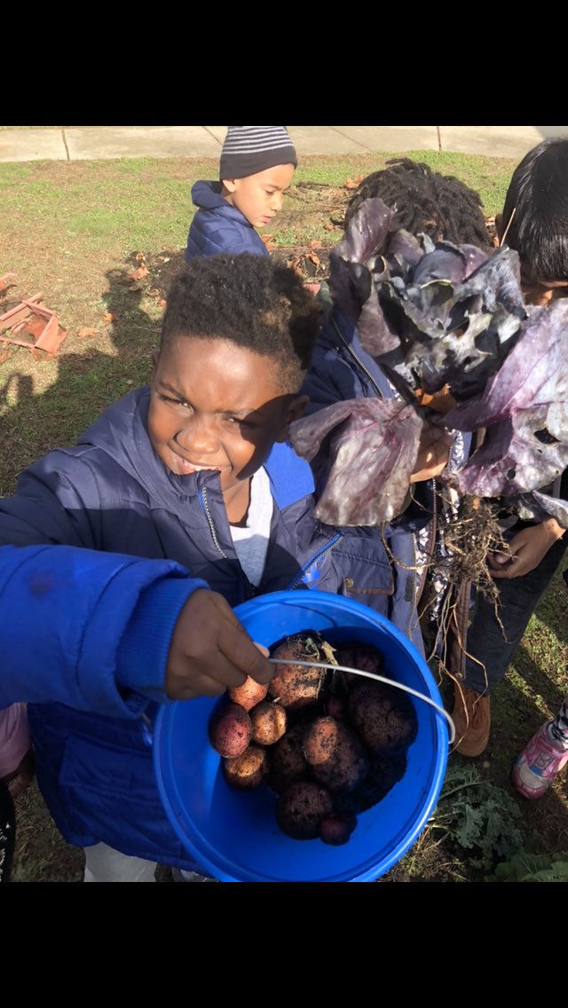 Mrs_Maldonado_'s tweet photo. #gardening #soilunit #homemadechips #whatsBRUINinBaldwin @UnalKarakas2 2M spends time in our garden. Look what we picked. Homemade chips for snack tomorrow! Science is fun and yummy! Vocabulary spoken from our scientists isopods, humus, organic matter, rootlets, and nutrients! https://t.co/0ILLWAh7zt