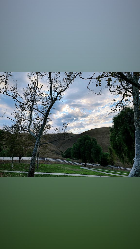 janiceriddle's tweet photo. Getting in a walk before the rain comes. https://t.co/WDC5TTorfr