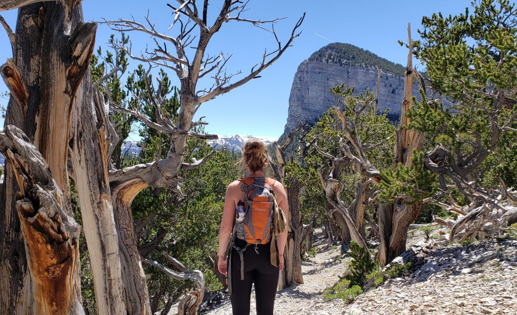 ThAdventureHigh tweet picture