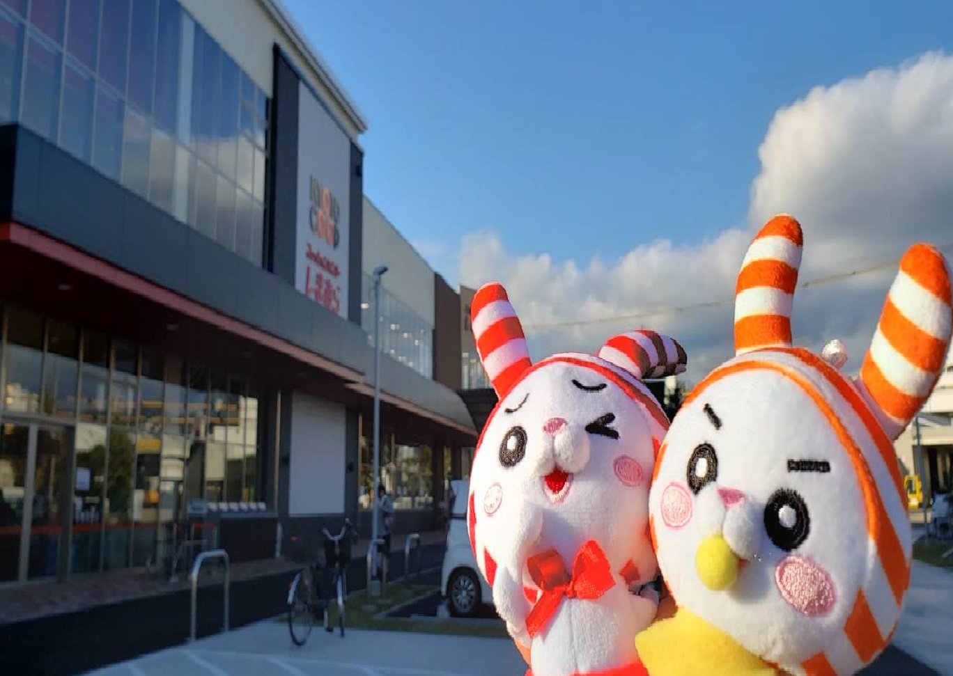 ファッションセンターしまむら Open 情報 本日11 21 木 しまむら山科新十条店 京都 コープ山科新十条店の２階にしまむらがオープン しまむら でお得なアイテムをゲットしよう しまうさもこれから しまパト しに出発
