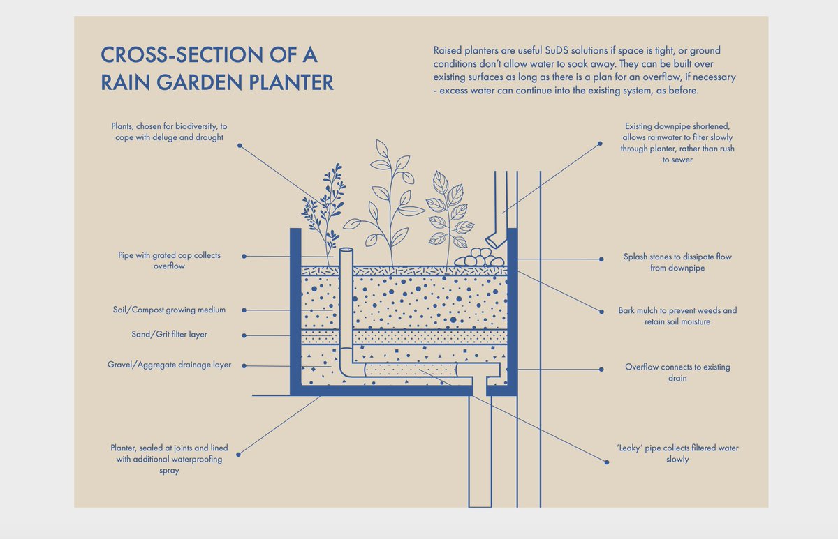 _OwenGriffiths_'s tweet photo. Thanks Diolch @AMR_YMCA great to see @frolfey @NatResWales @Egija_YMCA @MixtupSwansea looking forward to discussing #greeninfrastructure #community #antigentrification #collaboration -looking forward to sharing more news on this soon... #clearstreams #Swansea #abertawe #cymuned https://t.co/yOOU0UEI9K