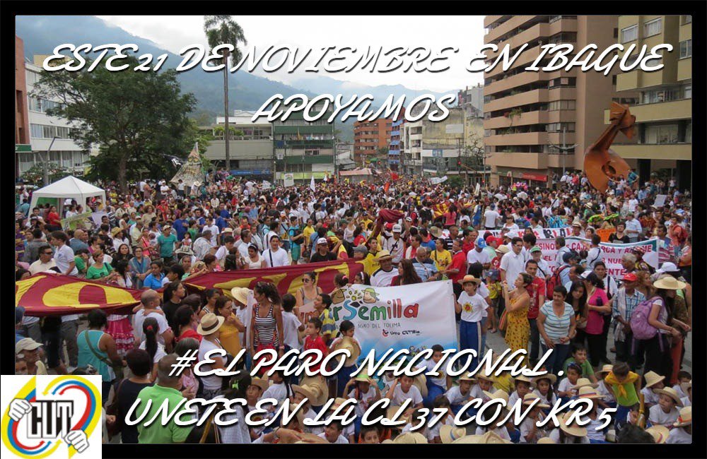 CUTTOLIMA tweet media