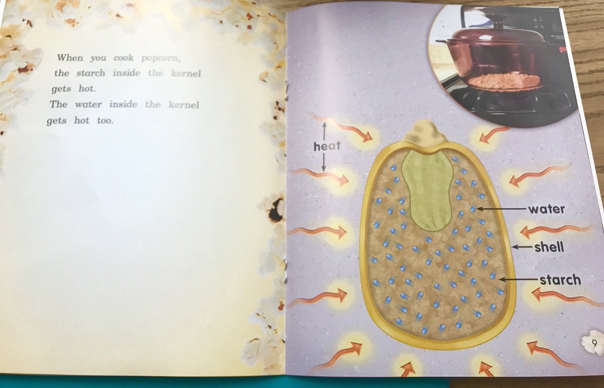 We were popping with excitement to learn about popcorn 🍿... we even popped our own right on the cob! 🌽 <a href="/SGSchoolNews/">Spring Grove Area School District</a> <a href="/SGASD_NSE/">New Salem Elementary</a>