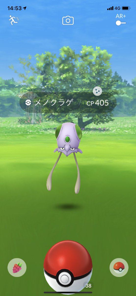 メノクラゲ色違い メノクラゲ色違い