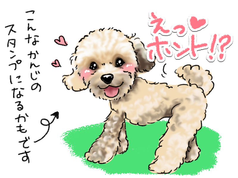 RikaCreate's tweet photo. 【トイプードルのラインスタンプ用モデルさん募集！】
このツイートにリプライでモデルワンコさんの写真とその写真に似合う「せりふ」をご記入ください。
採用はリカの独断と偏見により。描かせていただいたイラストはご本人に限り個人利用可能です😊💕
全員描けるとは限りませんのでご了承ください。 https://t.co/k6K708RqTv