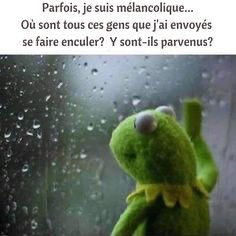 MathiasG__'s tweet image. #kermit #jenpeutplusdemoi 😂😂😂