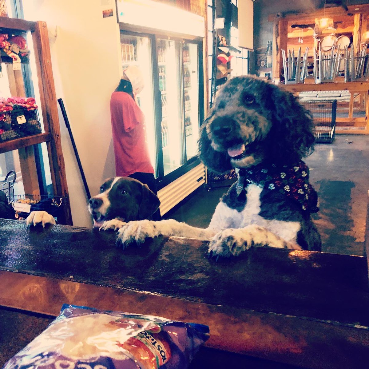 7venthSunBeer's tweet image. We can collaborate with our eyes closed. ☺️   Thank you @marker48brewing for the incredible beers and hospitality (every collab should have a hot sauce tasting) and we can’t wait for this sour IPA to come to life. #totallyworththedrive #thenorthiswhatsup #collaboration #craftbeer