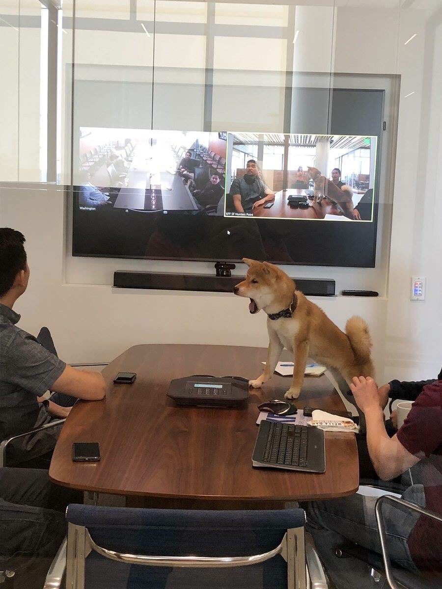 disisdaadam's tweet image. There are only 4 types of developers in meetings.