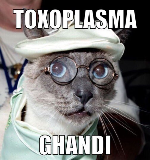 ⁦#medtwitter #ghandi