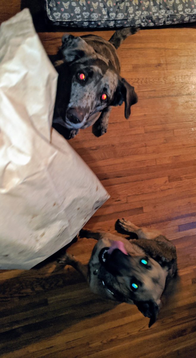 C'mon, what's in the bag?!? I know it's cheat day, don't hold out on us!