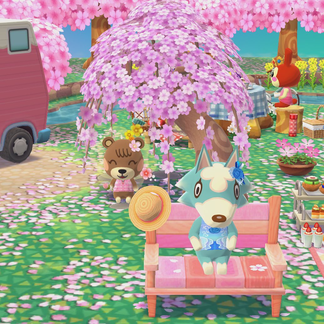 sakurapeachess's tweet photo. ππΈππΈπ #animalcrossing #pocketcamp #ACPCPartyTime #ACPCAnniversary #ACPCAboutMe https://t.co/R22gH64uig
