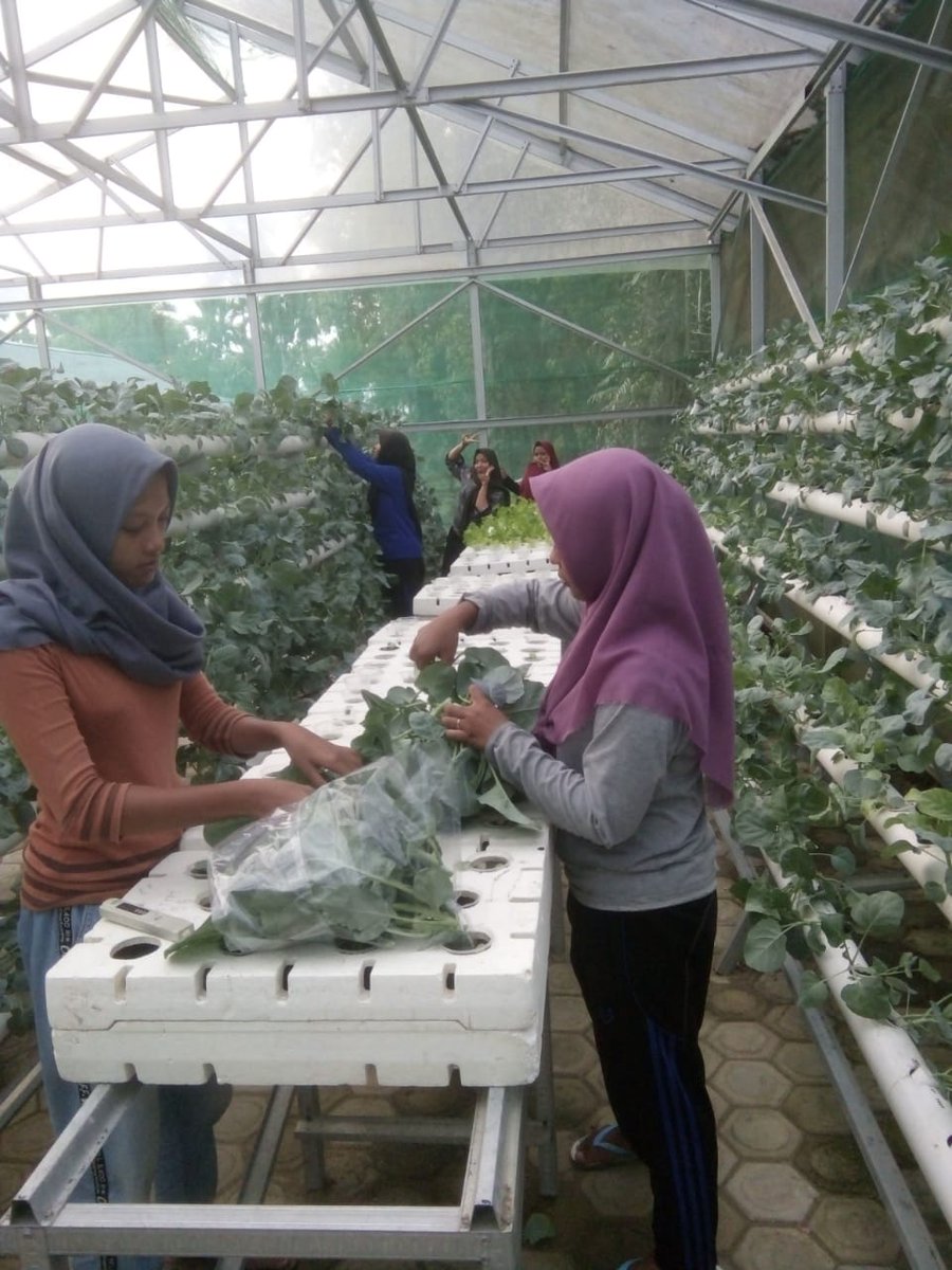 sof2i4di's tweet image. KAMPUNG BERSERI ASTRA penyengat rendah Jambi